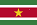 Suriname.png