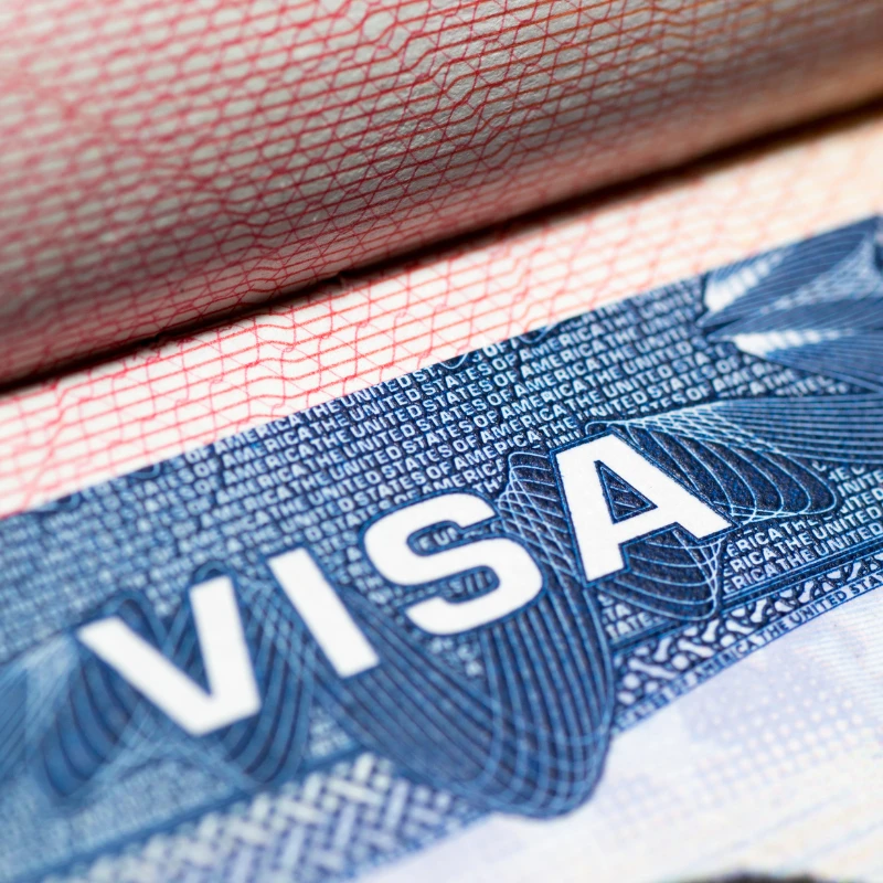 ビザ申請業務のイメージ