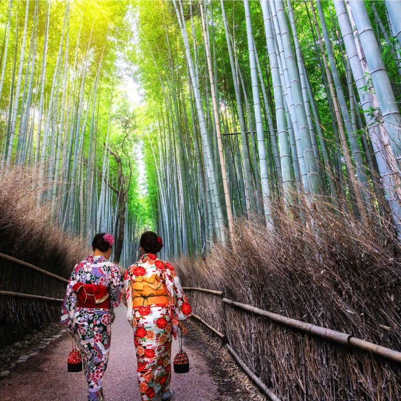 国内渡航手配のイメージ