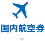 国内航空券